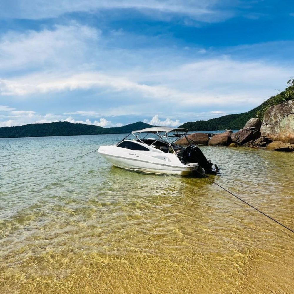 IMG_3919